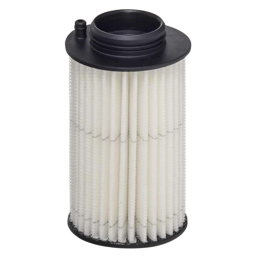 Oil Filter, differential